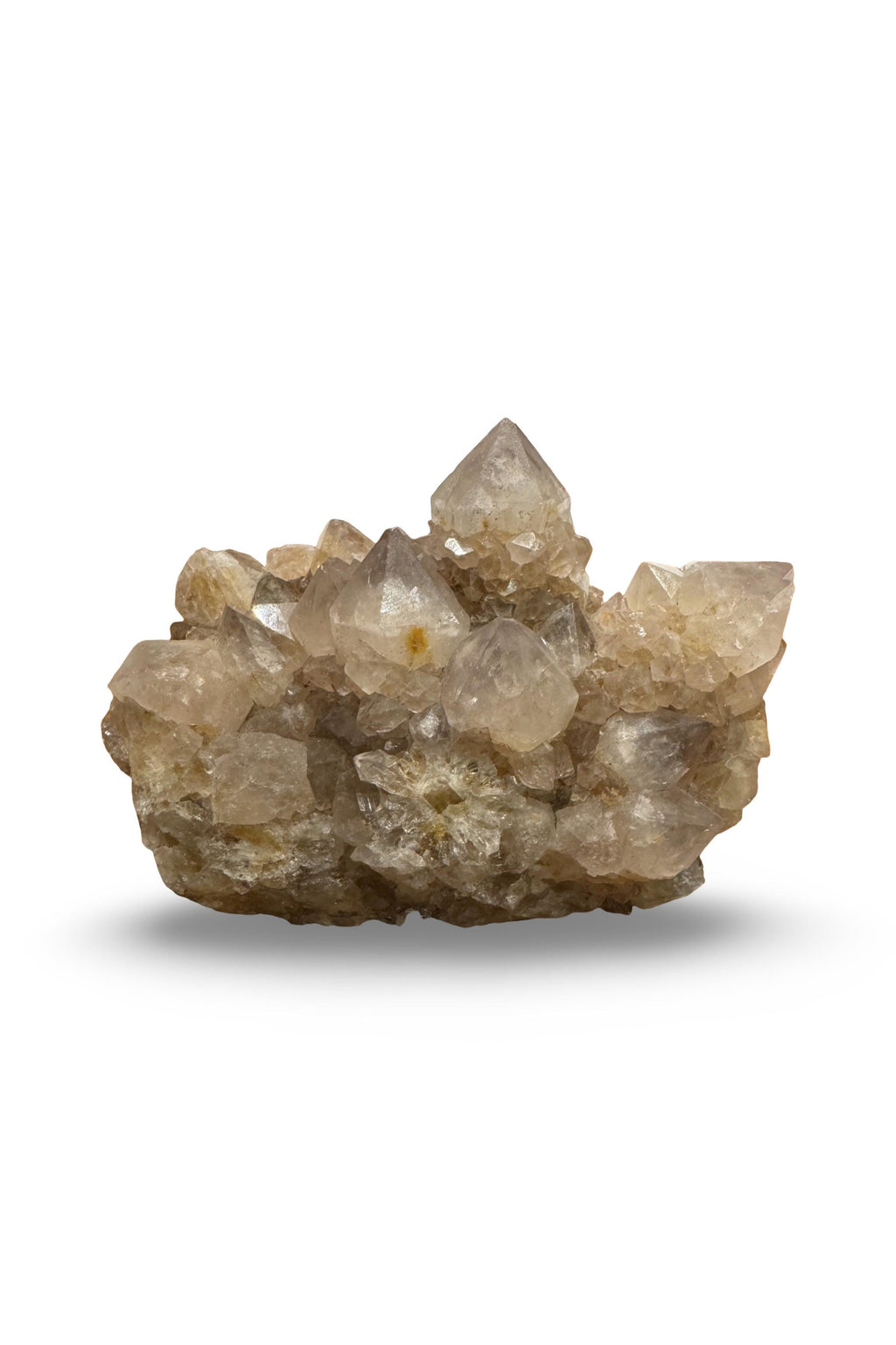 Ametrine (amethyst + citrine) Spirit Quartz (South Africa)