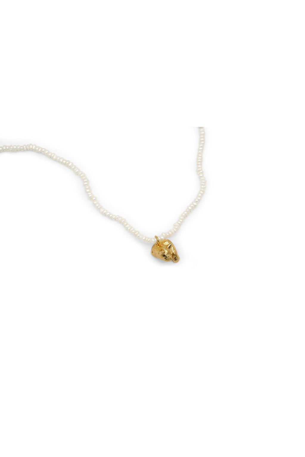 Prado Korat Cat Pearl