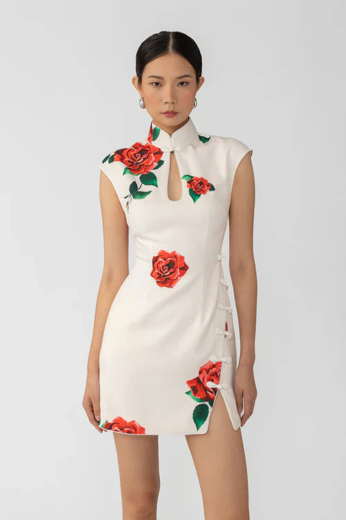 Raya Rosa Mini Dress (White)