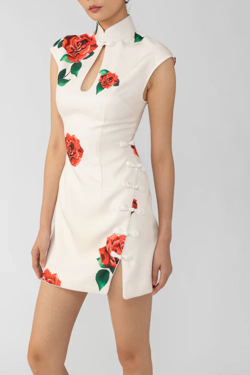 Raya Rosa Mini Dress (White)
